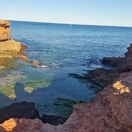 Locos With A Sea View By The Torrevieja