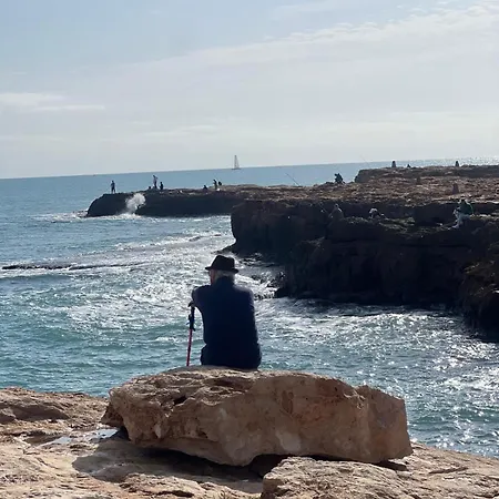 Locos With A Sea View By The * Torrevieja